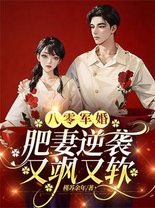 主角是周琳琳严屹辰的小说八零军婚，肥妻逆袭又飒又软在哪免费看
