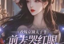 改嫁京圈太子爷，前夫哭红眼求我别嫁（林江宇）最新章节在线阅读-蔬菜文学