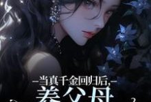 司音最新章节列表当真千金回归后，养父母要我嫁农夫免费阅读-蔬菜文学
