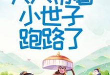 首辅大人不好了!夫人带着小世子跑路了大结局,程颂安崔元卿小说无广告阅读-蔬菜文学