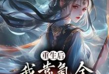 重生后，我靠氪金云养未来女帝（沈云）最新章节免费阅读-蔬菜文学