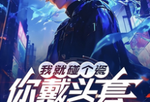 主角是陆泽赵勇的小说我就碰个瓷，你戴头套什么意思？在哪免费看-蔬菜文学