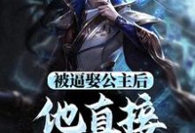 被逼娶公主后,他直接坐了皇位无弹窗王修苏晚晴最新章节列表-蔬菜文学