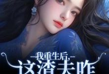 我重生后，这渣夫咋还换人格了精彩章节在线免费阅读（林菀宁）-蔬菜文学