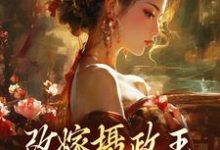 改嫁摄政王，我复仇虐渣妹热门小说(萧怀沣骆宁)在线阅读无弹窗-蔬菜文学