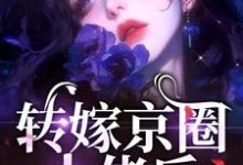 精彩章节阅读转嫁京圈大佬后，前任悔不当初(苏婉禾司北琛)免费小说在线看-蔬菜文学