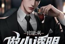 官途：从做小透明开始热门小说(何涛)在线阅读无弹窗-蔬菜文学