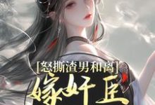 沈蕴之宋窈窈小说的结局在哪可以看，怒撕渣男和离，嫁奸臣高攀不起免费阅读完结版-蔬菜文学