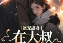 盛宠甜妻：在大叔怀里沦陷无弹窗安姩盛怀安最新章节列表-蔬菜文学