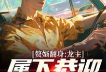 主人公是叶尘林含雪的小说赘婿翻身：龙主，属下恭迎您归位免费阅读-蔬菜文学