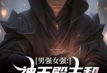 小说男强女强：神王殿主和女特工闪婚了主角林晨叶寒霜免费阅读-蔬菜文学