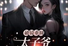精彩章节阅读破镜重圆：太子爷他太霸道(黎念靳宴深)免费小说在线看-蔬菜文学