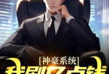 神豪系统：我刷亿点钱不过分吧？无弹窗何起墨最新章节列表-蔬菜文学