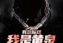 有怨报怨，我是黄泉摆渡人精彩章节在线免费阅读（云渺）-蔬菜文学