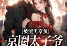 被渣男辜负，京圈太子爷化身治愈系完结版沈颜季辞渊免费阅读大结局-蔬菜文学