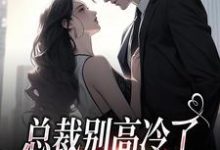 总裁别高冷了,夫人离家出走了(林乔谢之南)最新章节在线阅读-蔬菜文学