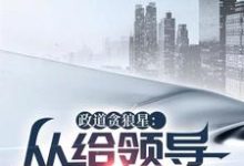 政道贪狼星：从给领导平反开始免费阅读(陈诚楚瑜清)小说免费读最新章节-蔬菜文学