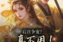 后宫争宠？真不用！我撒个娇的事免费阅读，温梨儿晏时叙大结局无弹窗-蔬菜文学