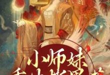 凤锦许墨小说免费阅读最新章节列表，小师妹重生撕黑莲，炸翻宗门小说在线看-蔬菜文学