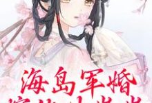 海岛军婚：嫁他生崽崽热门小说(沈竹霍锦之)在线阅读无弹窗-蔬菜文学