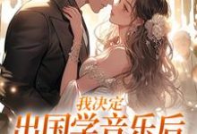 我决定出国学音乐后，大律师后悔了精彩章节阅读(宋棉贺淮川)免费阅读大结局-蔬菜文学
