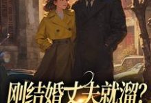 主人公是丁遥香陆舰的小说刚结婚丈夫就溜?姐真不吃人!免费阅读-蔬菜文学