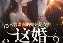 未曾谋面的媳妇是女神，这婚不离了精彩章节在线免费阅读（顾衍掣盛知夏）-蔬菜文学