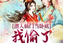 潜入仙门当卧底，我偷了谪仙的心最新章节潜入仙门当卧底，我偷了谪仙的心在线阅读-蔬菜文学