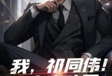 我，祁同伟！这次真改了小说最新章节在哪里可以免费看-蔬菜文学