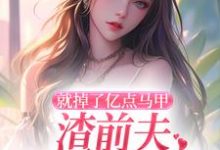 精彩章节阅读就掉了亿点马甲，渣前夫哭着求复婚(楚骁寒叶幻竹)免费小说在线看-蔬菜文学