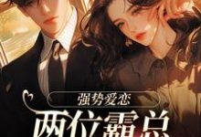 纵意沉沦大结局,梁颂薇傅暨臣小说无广告阅读-蔬菜文学