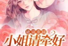 精彩章节阅读破镜重圆：小姐请牵好我的余生(宋一伟林雨晴)免费小说在线看-蔬菜文学