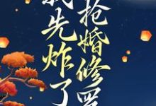 跪求主角是叶楚月轩辕宸的小说书名叫什么-蔬菜文学