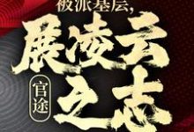 官途：被派基层，展凌云之志小说资源求分享，官途：被派基层，展凌云之志楚昊宇在线阅读-蔬菜文学