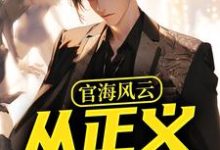 官海风云：从正义开始（主角何强）完结版免费阅读-蔬菜文学