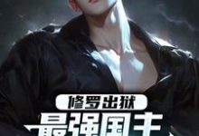 修罗出狱：最强国主身份震撼世界（主角叶枫）完结版免费阅读-蔬菜文学