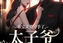 完结版乖宝又要分手了，太子爷求贴贴在哪免费看，江颜厉霆骁小说在线阅读-蔬菜文学