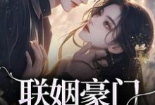 主人公是沈心姿陆仲廷的小说联姻豪门继承人后,我逃婚了!免费阅读-蔬菜文学