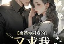 离婚你同意的，又求我复婚干什么完结版沈青漓周晏辰免费阅读大结局-蔬菜文学