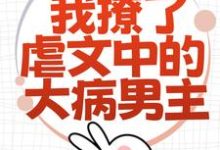 为了活命，我撩了虐文中的大病男主（主角林瑧陆厌）完结版免费阅读-蔬菜文学