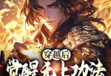 宋终最新章节穿越后，觉醒无上功法的我要复仇了免费阅读-蔬菜文学
