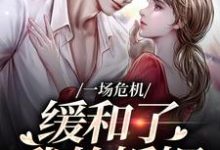 跪求主角是南迦北铮的小说书名叫什么-蔬菜文学