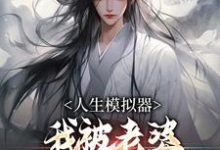 人生模拟器:我被老婆逼成世间极境小说最新章节在哪里可以免费看-蔬菜文学