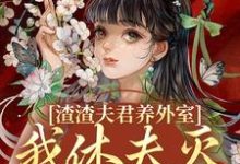 渣渣夫君养外室，我休夫灭妾另高嫁（主角萧时衍叶宛卿）完结版免费阅读-蔬菜文学