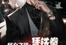 权力之路：凭铁拳，我令黑势力退避完结版步青云王东林免费阅读大结局-蔬菜文学