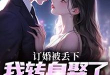 订婚被丢下，我转身娶了娇娇千金（主角江辰苏密）完结版免费阅读-蔬菜文学