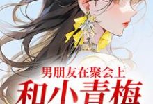 跪求主角是徐乔兮贺司裴的小说书名叫什么-蔬菜文学