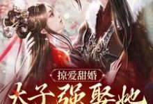 完结版掠爱甜婚：太子强娶她入东宫在哪免费看，贺玥宁如颂小说在线阅读-蔬菜文学