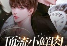 顶流小鲜肉每天只想官宣（梦泽）完结版免费阅读-蔬菜文学