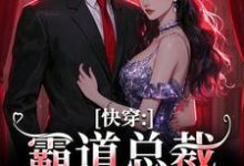 快穿：霸道总裁别太爱大结局，叶兮禾康易初小说无广告阅读-蔬菜文学